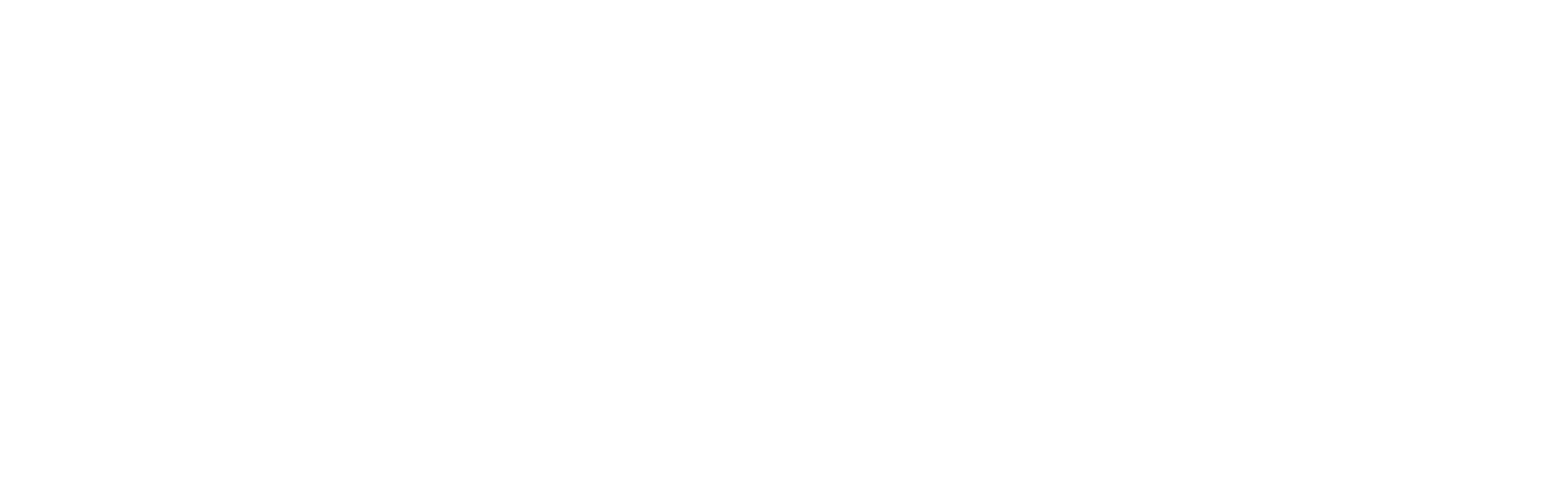 Demathieu bard